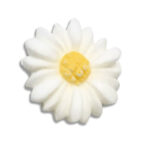 gaenseblueme_gr_800_hell